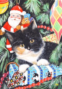 Chaton de Noël noir et blanc - Tony Todd