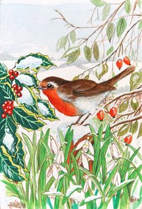 Rouge-gorge et perce-neige