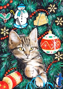 Chaton de Noël tigré - Tony Todd
