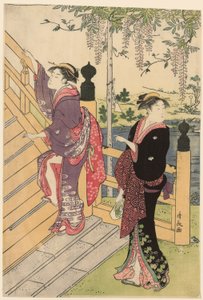 Admirant la glycine au sanctuaire de Kameido