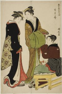 Fleurs du quartier Doteshita (Dotebana), de la série "Collection de beautés contemporaines des quartiers de plaisir (Tosei yuri bijin awase)"