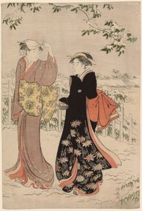 Colline de Matsuchi après une chute de neige