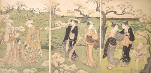 Jeunes filles regardant les cerisiers en fleurs à Asukayama