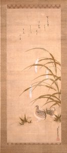Caille et millet