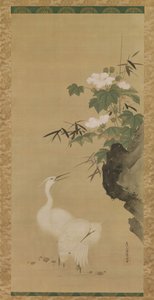 Aigrettes et Roses de Coton - Tosa Mitsuoki