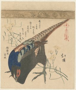 Faisan - Totoya Hokkei