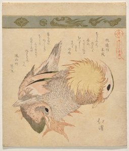 Paire de canards mandarins - Totoya Hokkei
