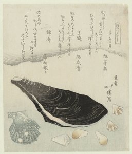 Coquilles de pluvier, moule crue et coquille de brocart (Une série de coquillages) - Totoya Hokkei