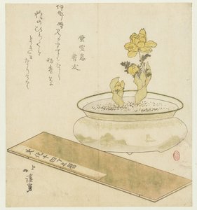 Plante en pot et almanach
