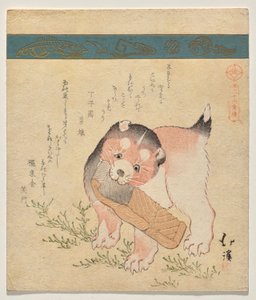 Chiot avec tranche de saumon séché - Totoya Hokkei
