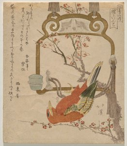 Perroquet rouge - Totoya Hokkei