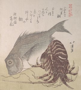 Tai Fish et homard, spécialités de Yanagiya à Odawara-cho - Totoya Hokkei