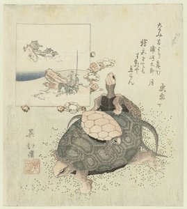 Tortues