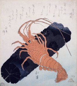 Langoustine avec un bloc de charbon, c.1830 - Toyota Hokkei