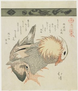 Canard mandarin et canard, vers 1830 - Toyota Hokkei