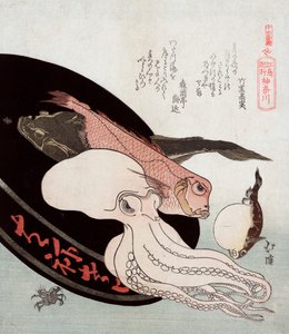 Poulpe et poissons de l