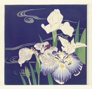 Iris - Tsukioka Kogyo