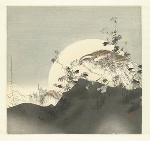 Cailles - Tsukioka Kogyo
