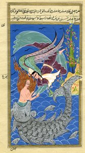 Jonas et le grand poisson - Turkish School