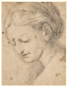Visage de femme en profil trois-quarts