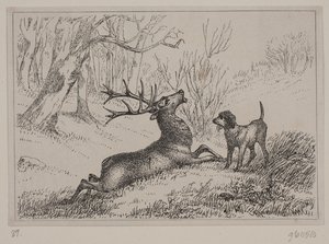 Illustration pour le poème "Hjorten" de Gotfred Rode - Ubekendt