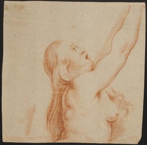 Femme se lamentant du mythe de Phaéton - Ubekendt