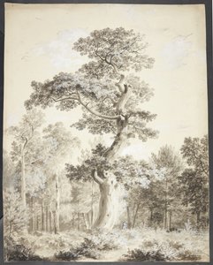 Paysage avec grand arbre et chasseur - Ubekendt