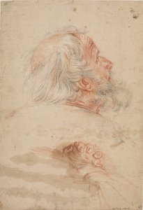Études de la tête d