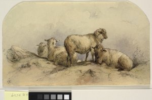 Moutons dans un paysage - Ubekendt KKSgb7508 KKSgb7512