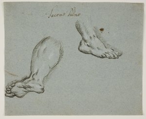 Une jambe gauche et un pied droit