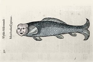 Représentation de poisson Nicolas Plate illustrée avec un manuscrit d