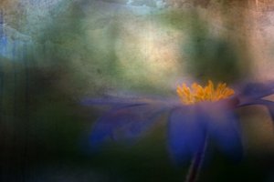  - Ulrike Eisenmann