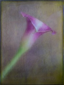  - Ulrike Eisenmann