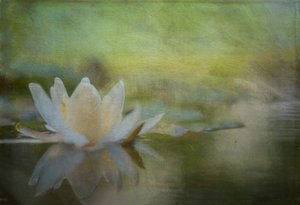  - Ulrike Eisenmann