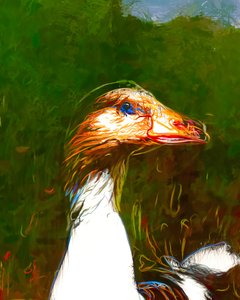 Portrait d