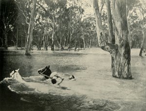 Un banquier, 1901 - Unbekannt