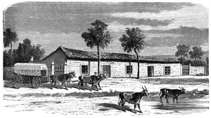 Une ferme boer, Afrique du Sud, vers 1890 - Unbekannt