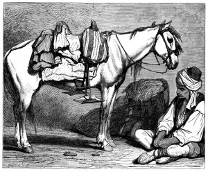 Un paysan bosniaque - Unbekannt