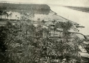 Une position britannique sur le fleuve Tigre, 1919 - Unbekannt