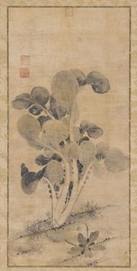 Un plant de chou, fin de la dynastie Yuan ou début de la dynastie Ming, 14ème-15ème siècle
