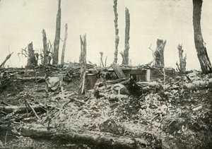 Un abri dans ce qui était autrefois un bois sylvestre, 1919 - Unbekannt