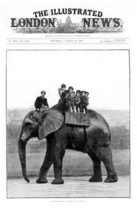 Un dernier tour sur Jumbo, Zoo de Londres - Unbekannt