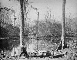 Un affluent de la rivière St. Johns, Floride, vers 1897 - Unbekannt