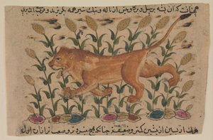Un lion, Folio d