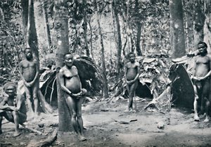 Un village pygmée, bassin du Congo nord-est, 1912 - Unbekannt