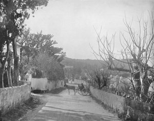 Une route à Port Royal, Bermudes, 19e siècle - Unbekannt