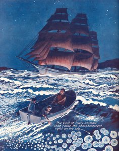 Une mer illuminée par des lucioles vivantes, 1935 - Unbekannt
