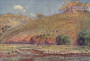 Un enclos à moutons - Unbekannt