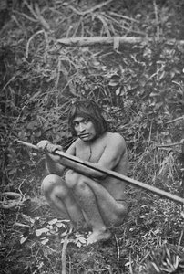 Un Yaghan attachant la tête de son harpon à la tige, 1911
