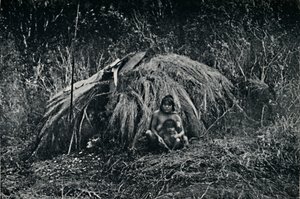 Une hutte Yaghan en Fuegia, 1911 - Unbekannt